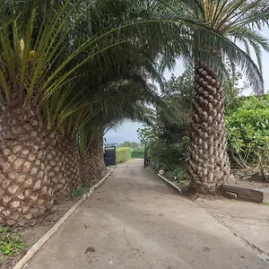 Paredones Farm - Private Pool - Garden Santa María de Guía de Gran Canaria